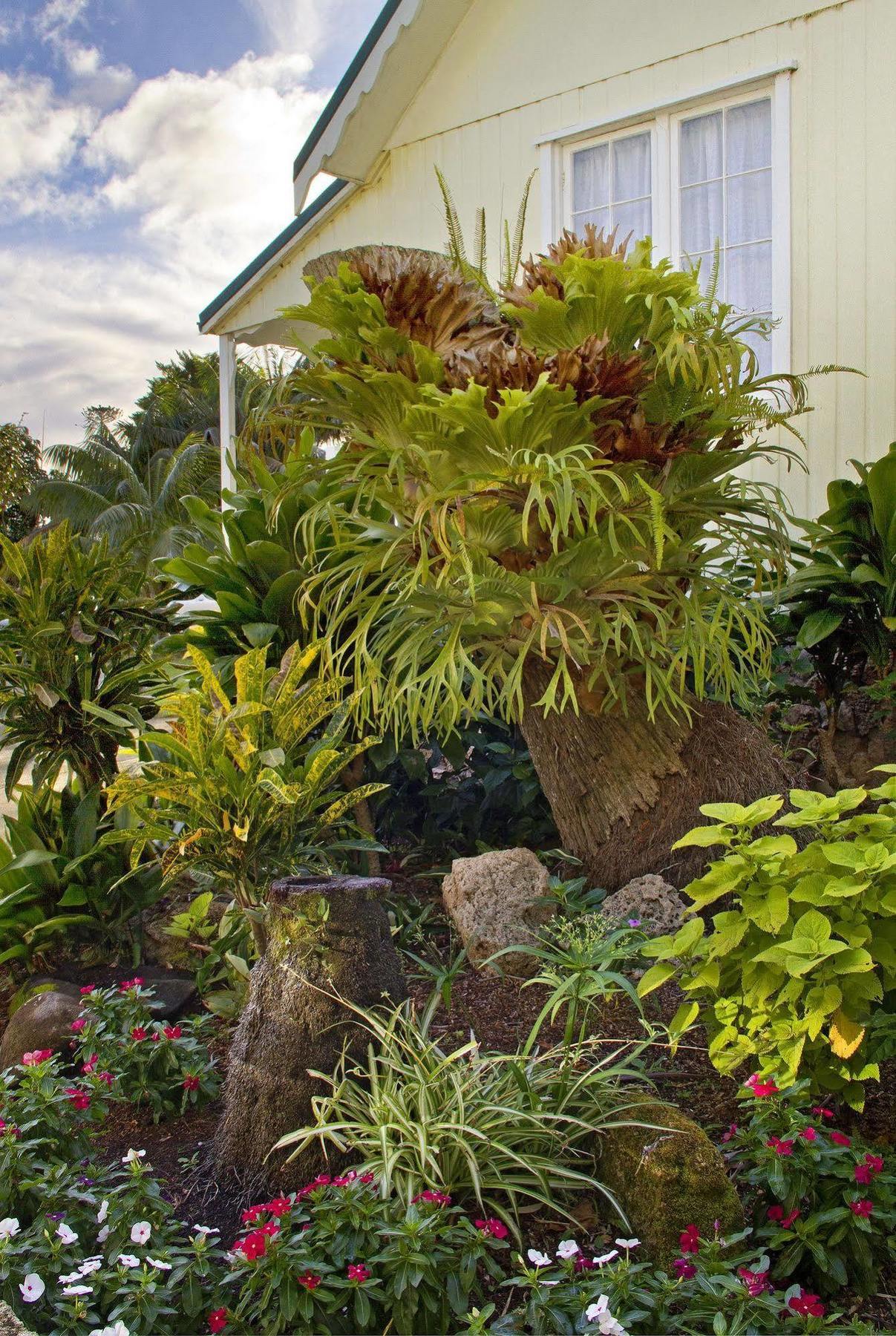 Castaway Norfolk Island Hotel Burnt Pine Exterior foto